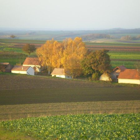 Gaestezimmer Rieder Staatz Buitenkant foto