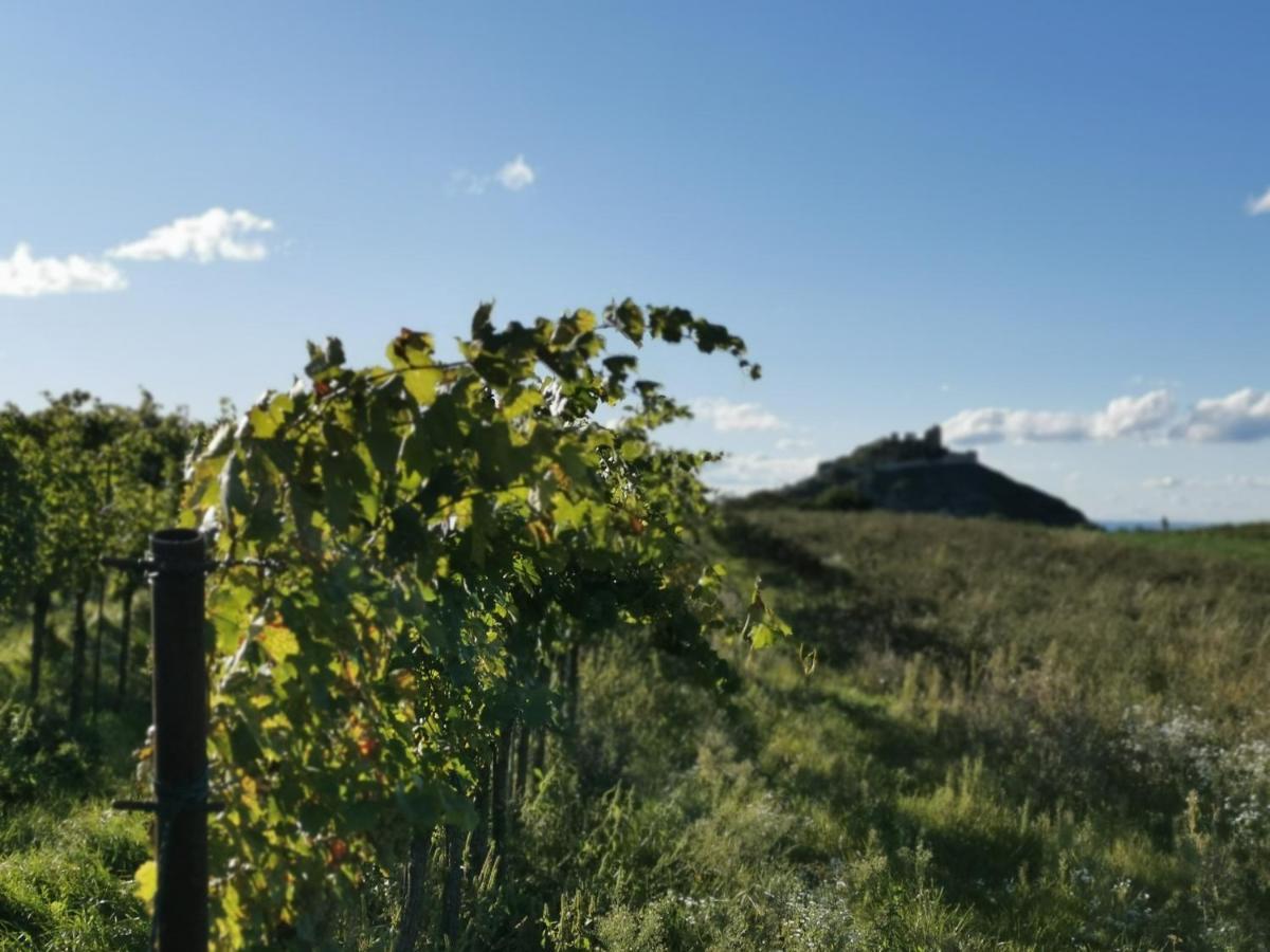 Gaestezimmer Rieder Staatz Buitenkant foto