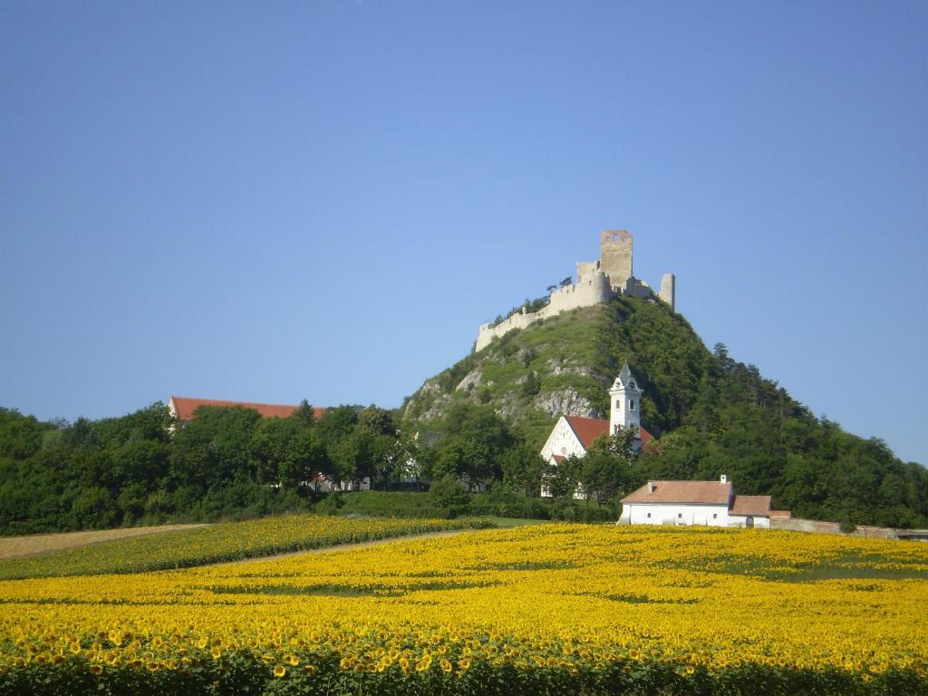 Gaestezimmer Rieder Staatz Buitenkant foto